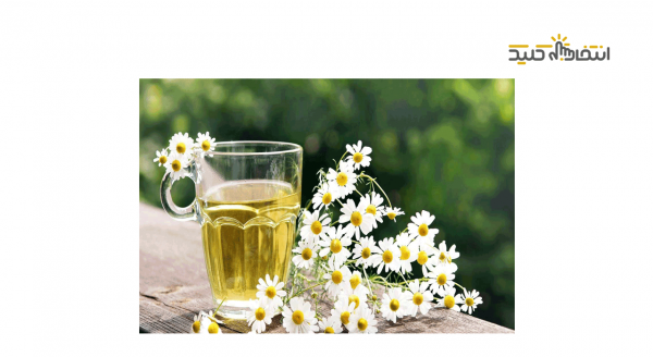 دمنوش بابونه